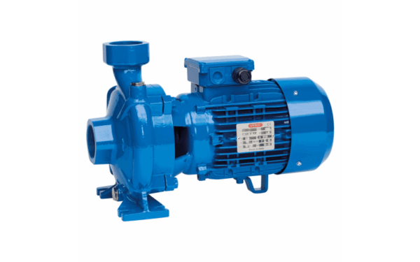 CFM 300 BR Speroni, Відцентровий моноблочний насос
